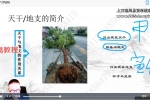 胡浚豪《全套新派四柱八字旺衰法》19集视频 百度云下载！