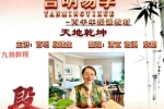 段氏盲派-言明学堂4册pdf 百度云下载！