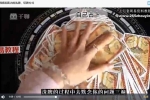 袖伊-韦特塔罗牌教程视频42集 百度云下载！