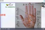 掌纹医学（合安堂）23讲视频+课件pdf 百度云下载！