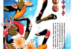 乾部六十甲子命例宝典 郑照煌  356页.pdf 百度云下载！