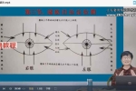 道家全息望诊 视频7集 百度云下载！