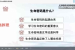 如是禅说 弈涵老师生命密码高级解读师 视频86集 百度云下载！